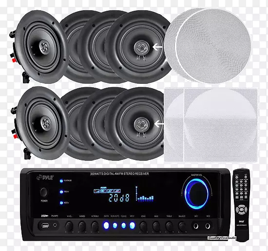 Ӱ����������ͥӰԺϵͳPYLE��Ƶ��ͥ�������������쳵-������