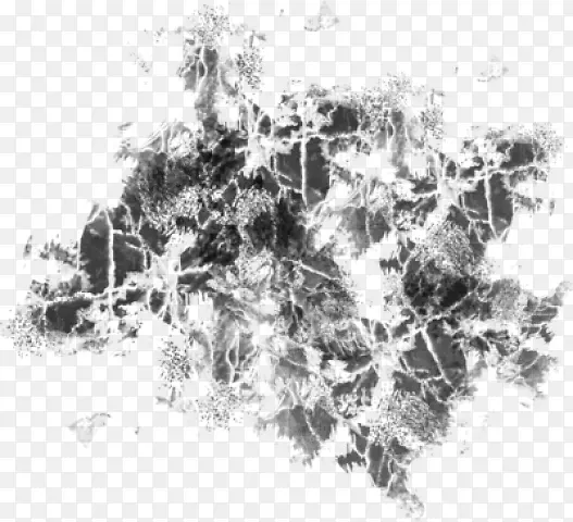 ��ɫ��֧-������