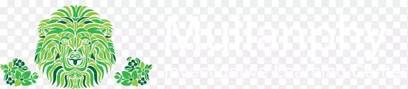 �̱�����Ʒֲ�ﾥϵ-������