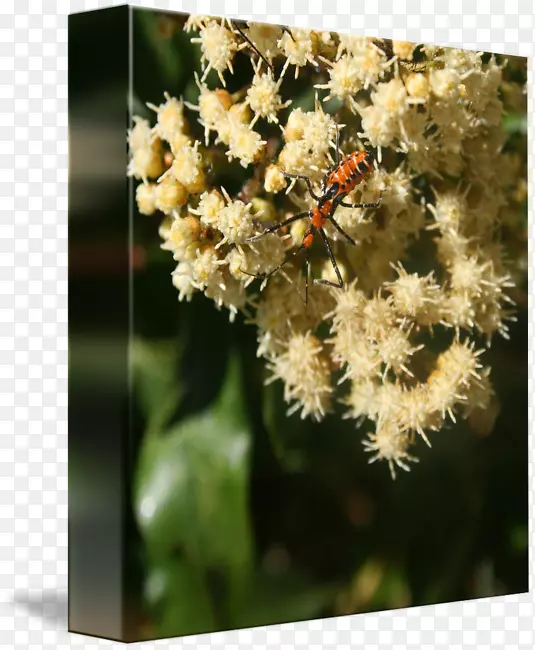 �۷�-������