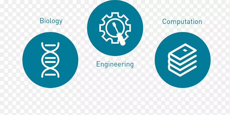 �������о���ѧETH z��rich���㹤��-��ѧ-������