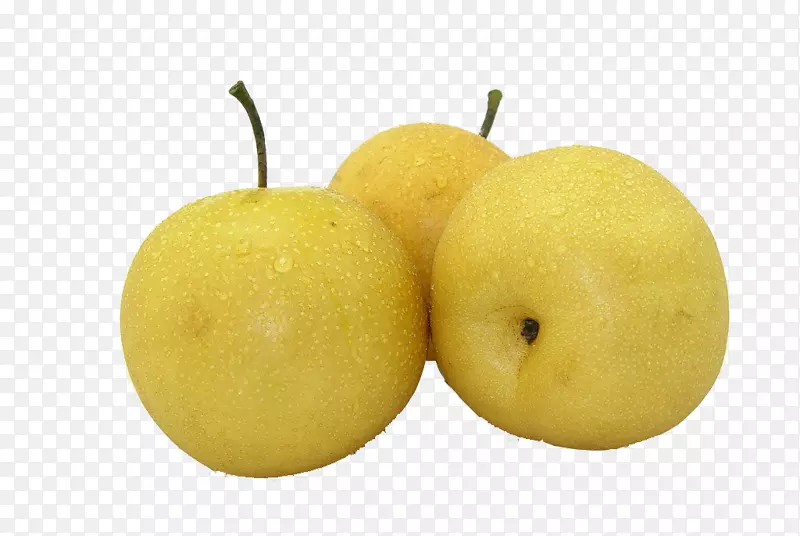 �������������JD.com��˹��ˣ�JD-������Ϥ��-������