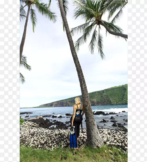 ���ַ����м��ں���-���ֻ���-������