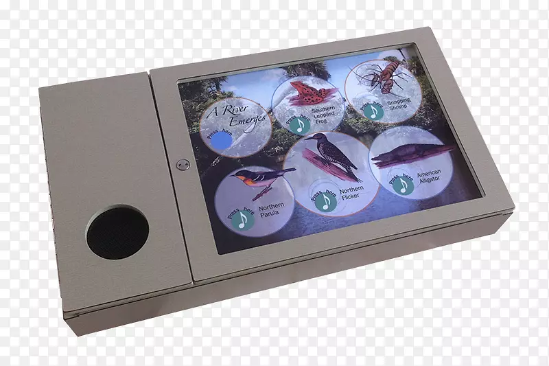 ��ý�弪ķ��˹�������޹�˾-���-������