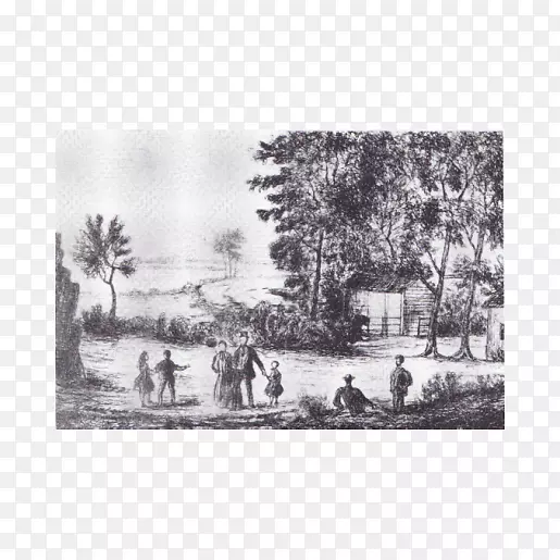 ԰�ְ���-������