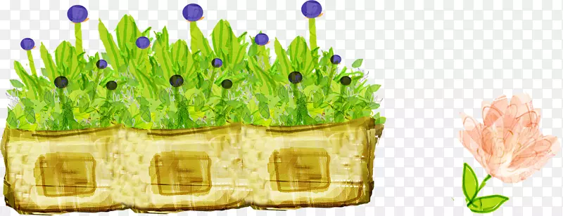 �ݻ�̳-������