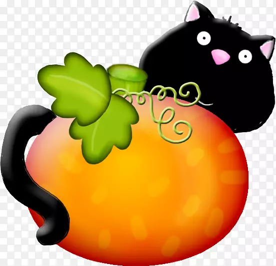 �����ϹϺ�«è����-�Ϲ�-������