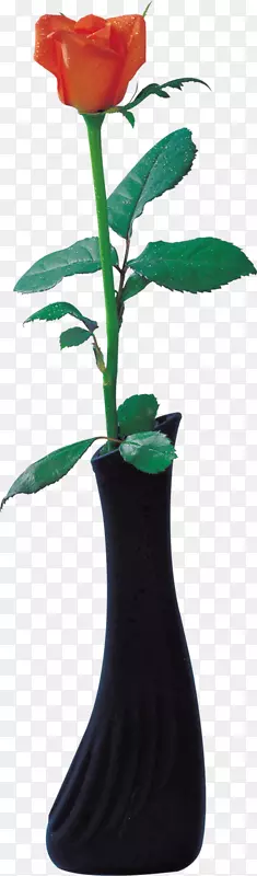 ��ƿ��԰õ�������������ƿ-������