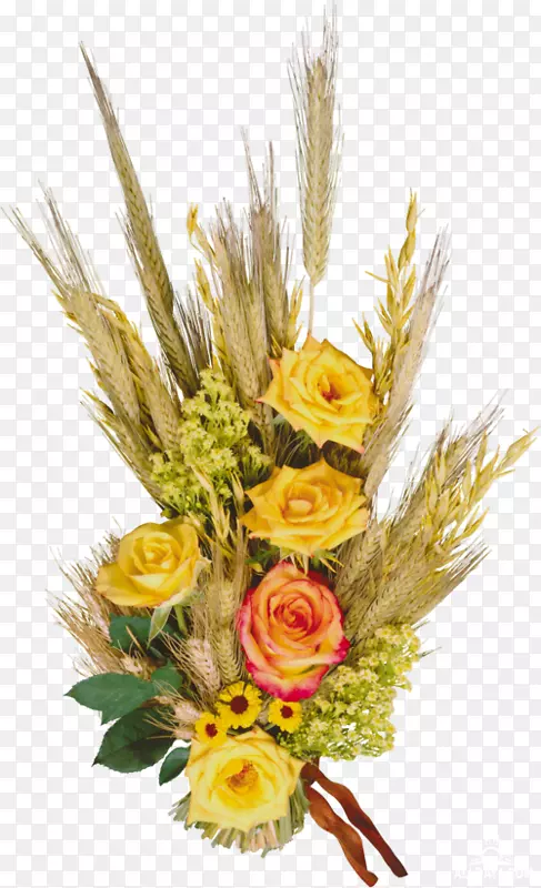 ������ƻ����л�-������