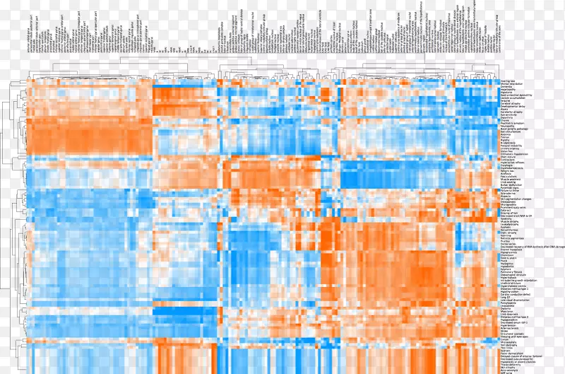 ֱ�ߵ���-������