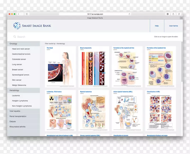 ��ҳ��ý������-��ά��-������