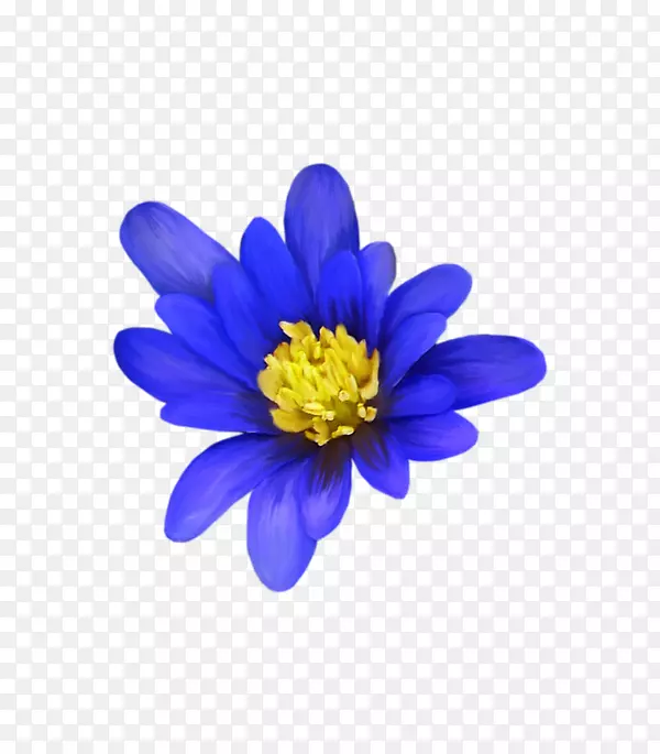 ��������ʼ�0�廨-������