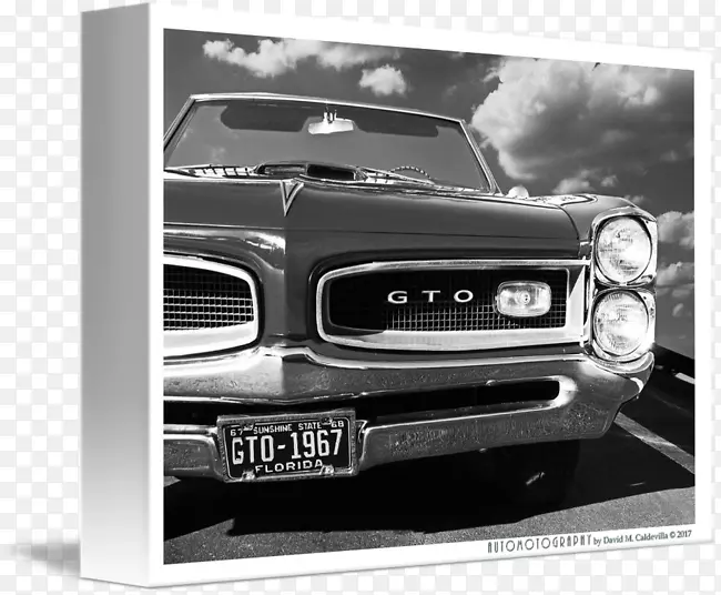 �����ӵ��ǿ�������Ƹ�դ���ո�-������