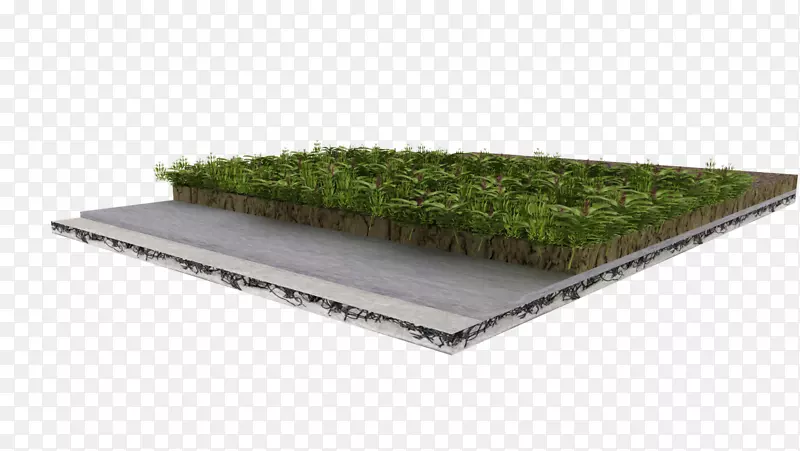 ���ǽ�-������