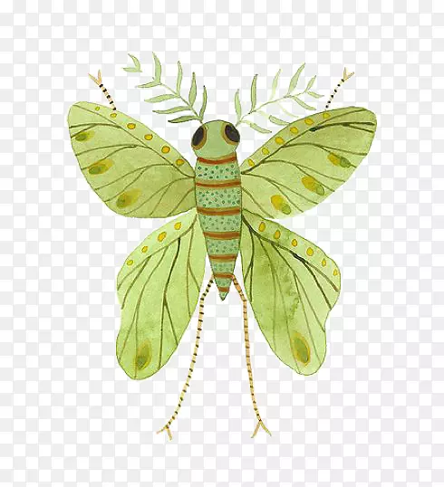 ��������ˮ�ʻ���ͼ.��Ӭ-������