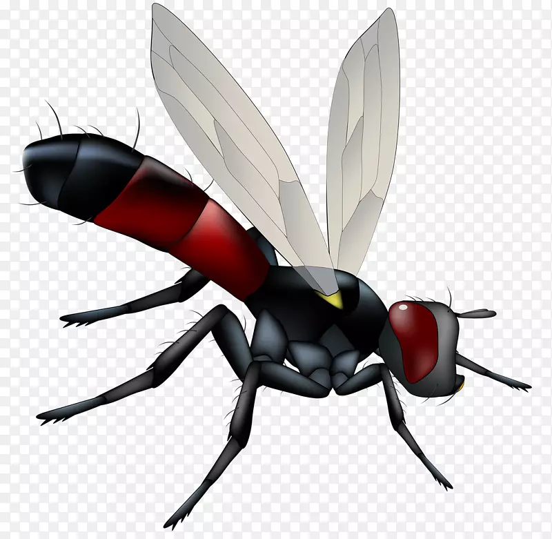 ������������-���µĲ�Ӭ-������