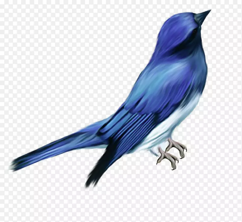 �׳���Ĵ������ೲ��-������