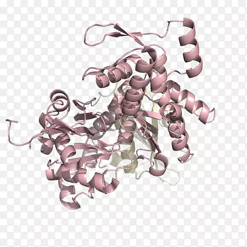 �޼�׵������ָ����-������-������