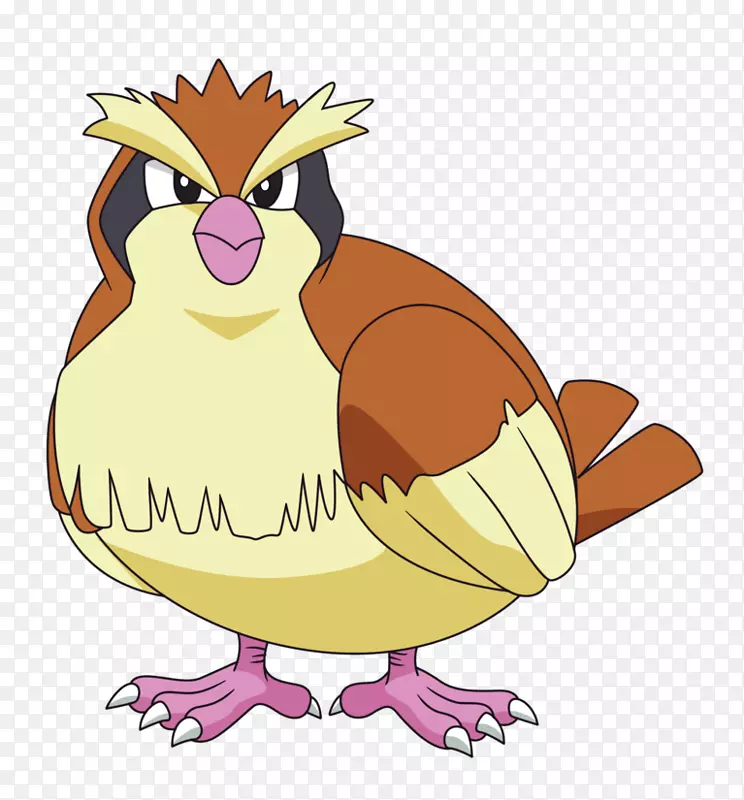 �����ﶯ��������-������