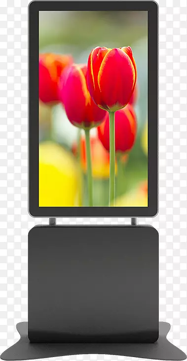 ���ֱ�־������ʾ�����Ƶ����Ӿ���ʾ��������ƽ������-������