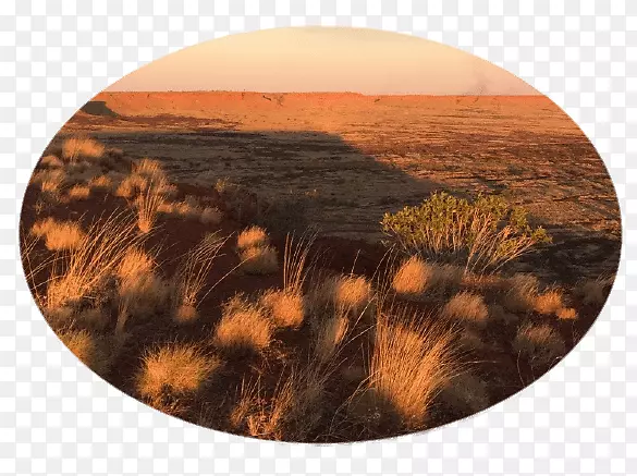 (Balgo)��������ҽ�Ʒ���-�����Ĵ�������-W�����Ŭ����-��-������