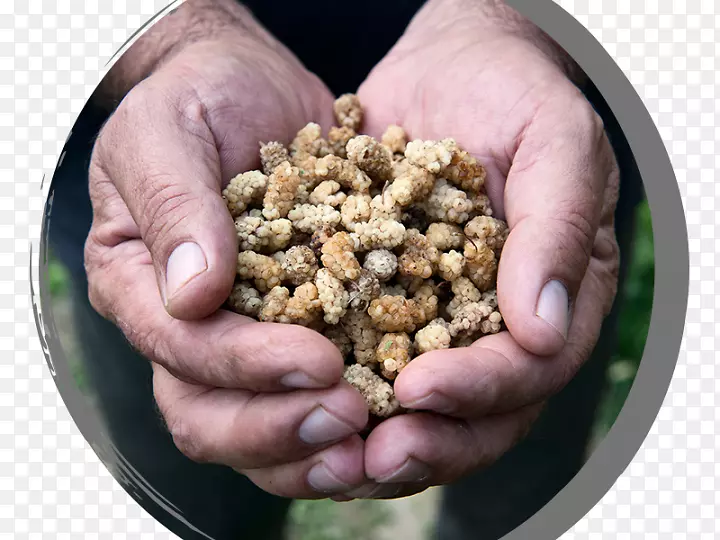 ����ʳƷ�����-��ĥ-������