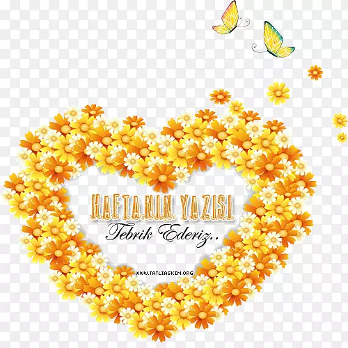 ���˽ڶ��������������-���˽�-������