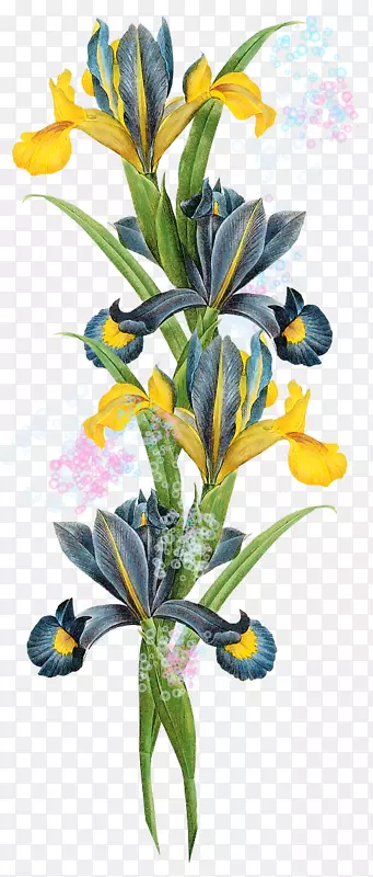 �廨����-������