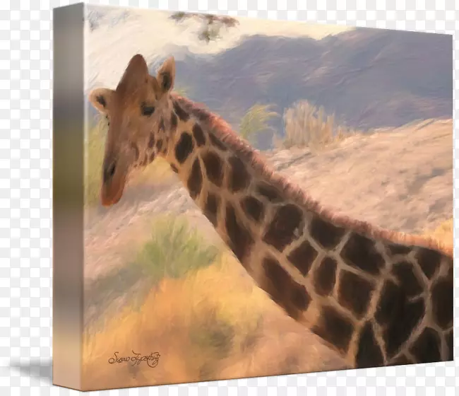 ����¹��½������Ұ��������ӳ���¹-������