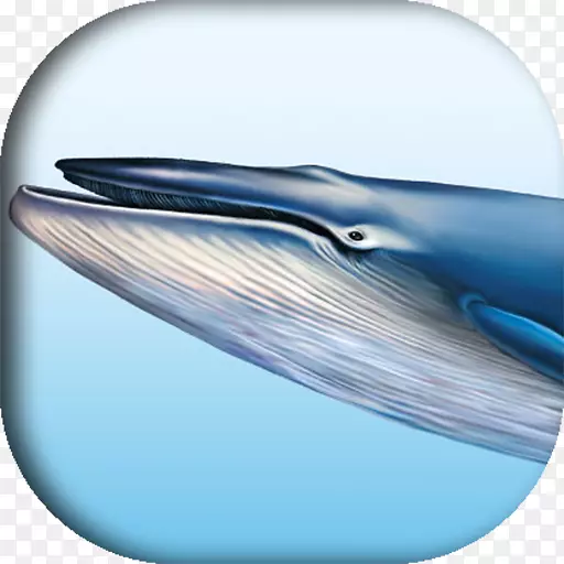 �ɶԻ�ױ��������Ϸ-android-������