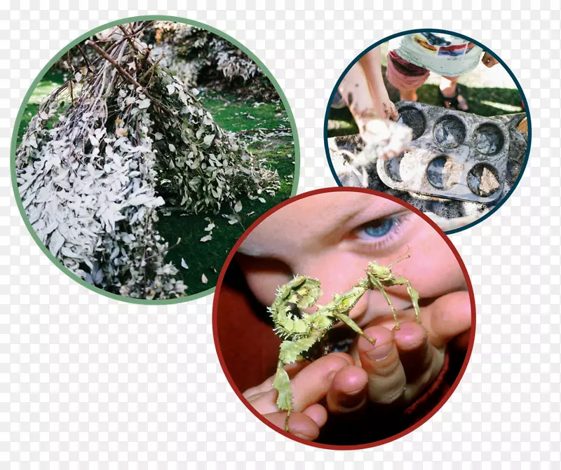 ��ʳ԰-��-������