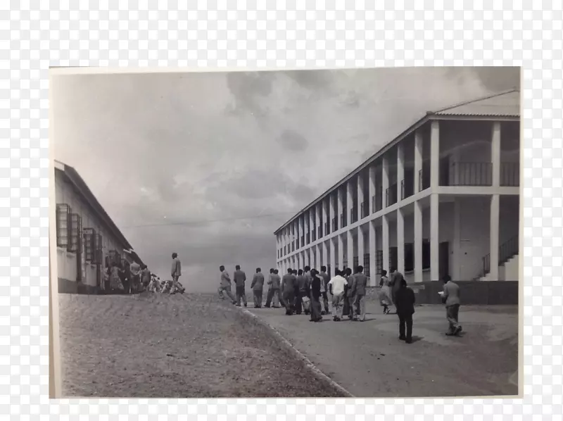 ������۰�ɫ-������