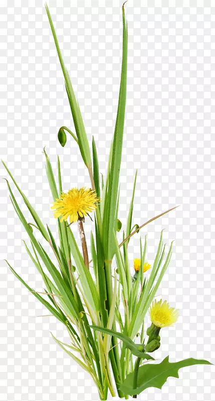 Ұ���໨������-��-������