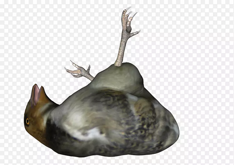 ����-������