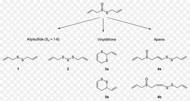 �����ΰ׵��ļ�-������-������