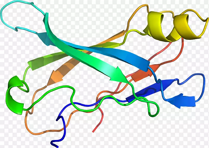 �ߵ������������-������