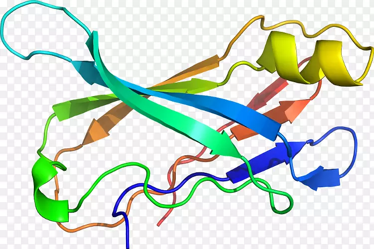 �ߵ������-��-������