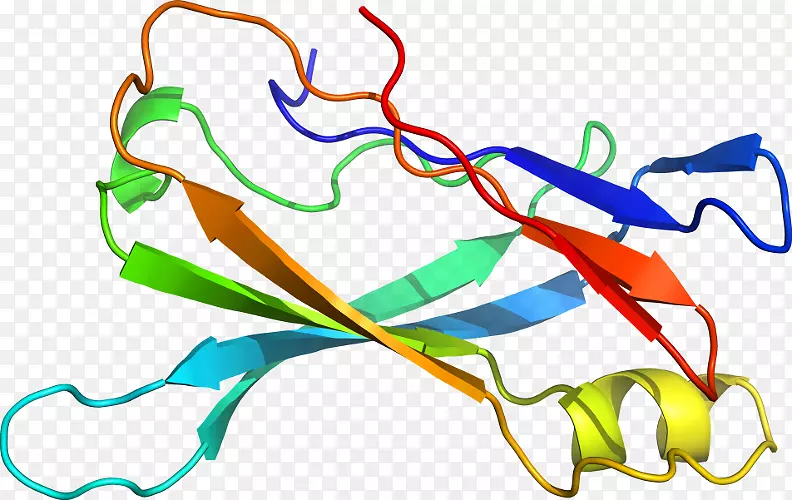 �ߵ������������-������