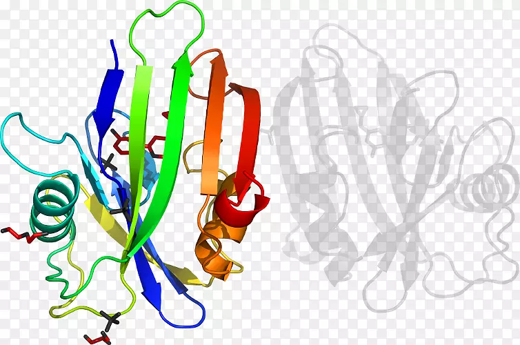 ƽ����Ƽ�����.���-������