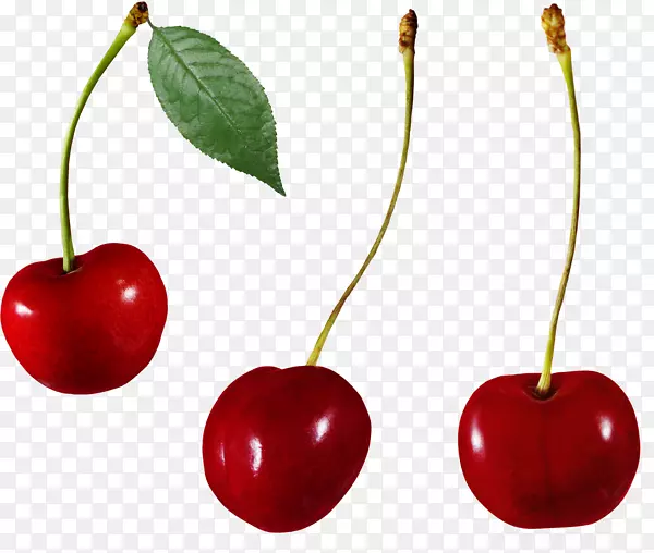 ��ӣ��-������