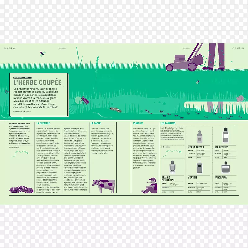 �����־��ζ����Ʒ��-������