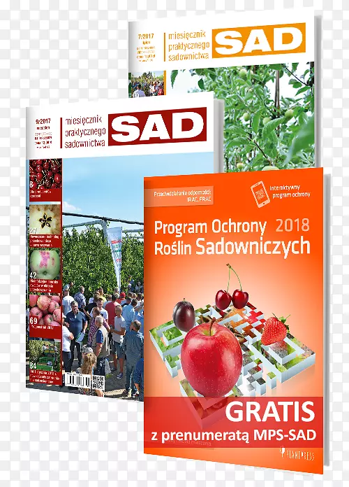 ֲ�������(plantpress sp.)��ȡ�?o ogrodnicze�ķ�֮һrewizja kwartalna szk��?karstwo����-������