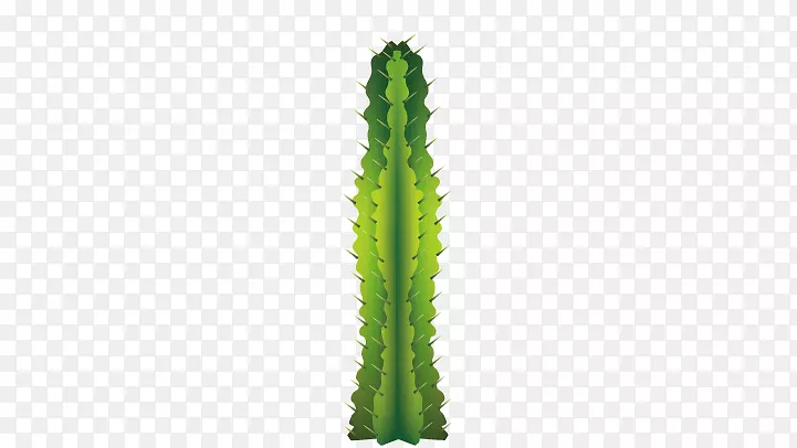 �̽�ͼ��-������-������