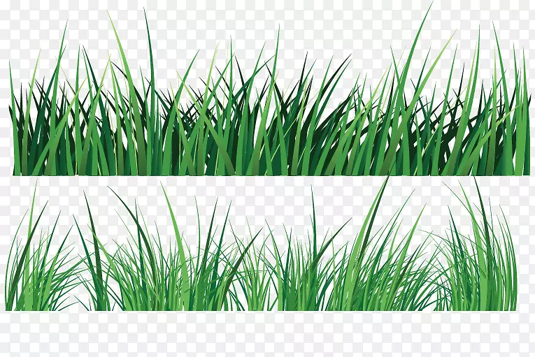 ��ɫ�������ù�ľ��-������