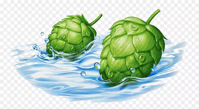 �ⶥ��Ҷ׶��ͼ.�����ɹ�����ɫˮ-������