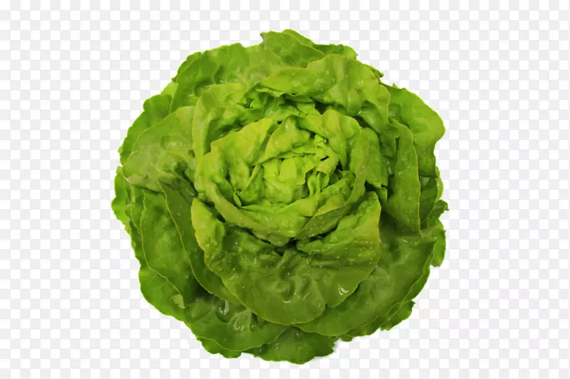 ݫ��ʮ�ֻ����߲˽�ĩɳ��-������