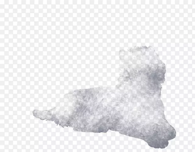 Ȯ�ֱ��Ӱ׹�-������