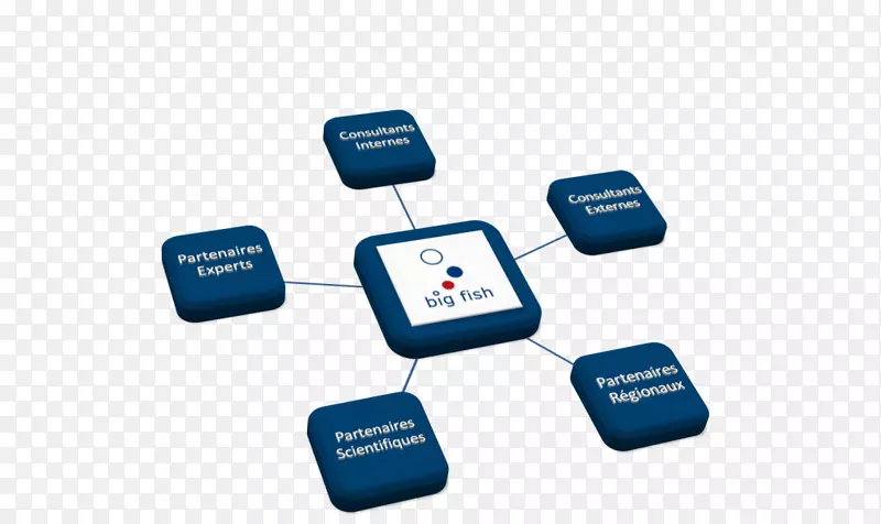 Ʒ�Ƶ������-������