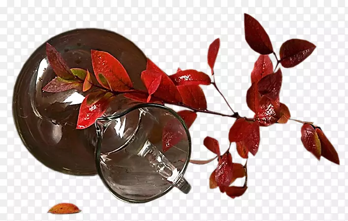 ���Ĳ��ͻ���LiveInternet-��ƿ-������