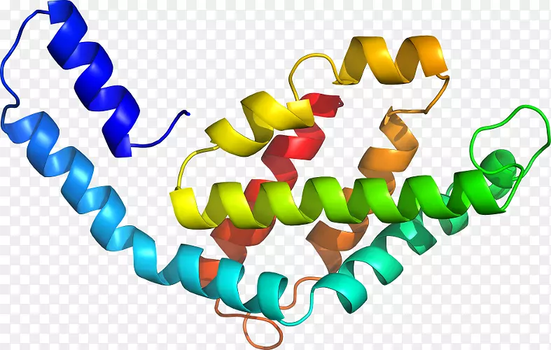 �л��������-������